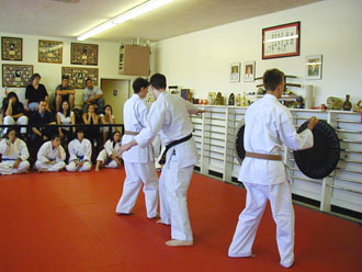 sanchin bunkai 2