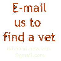 Finding a vet