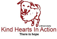 Kind Hearts In Action